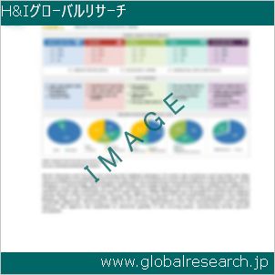 グローバルリサーチ調査レポートのイメージ